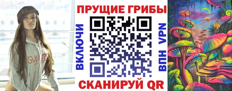 Купить  Волгореченск  Галлюциногенные грибы MAGIC MUSHROOMS 